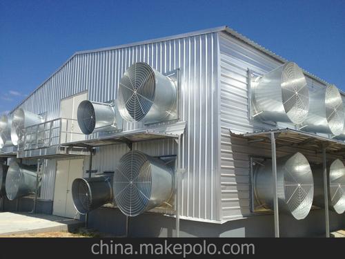散养鸡场鸡舍建设图 十年质量保证图片