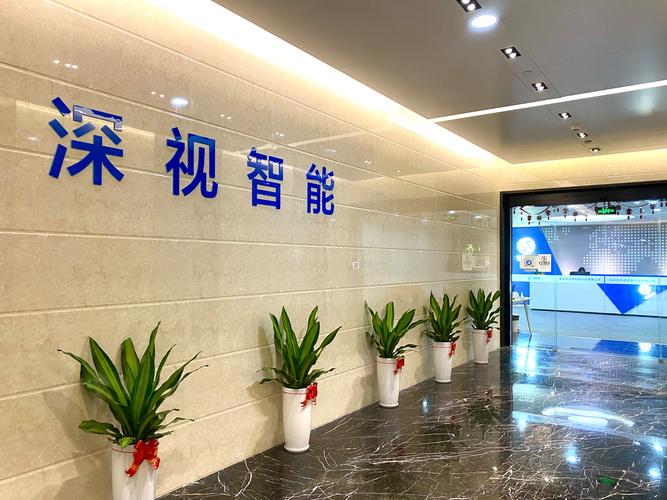 深圳市深视智能科技